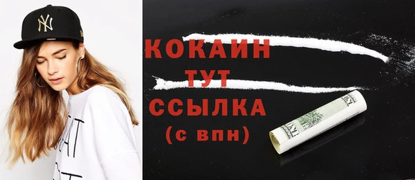 скорость Каменногорск