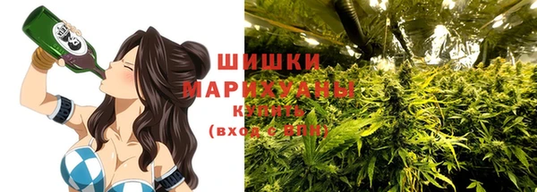 скорость Каменногорск
