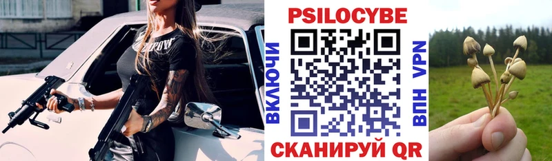 Галлюциногенные грибы GOLDEN TEACHER  Купить  Камешково 